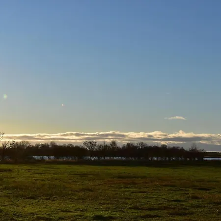 Veronika An Der Ueselitzer Wiek *