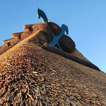 Veronika An Der Ueselitzer Wiek Prázdninový dům *