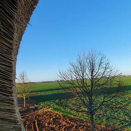Veronika An Der Ueselitzer Wiek