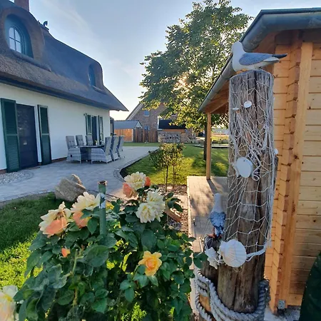 Veronika An Der Ueselitzer Wiek