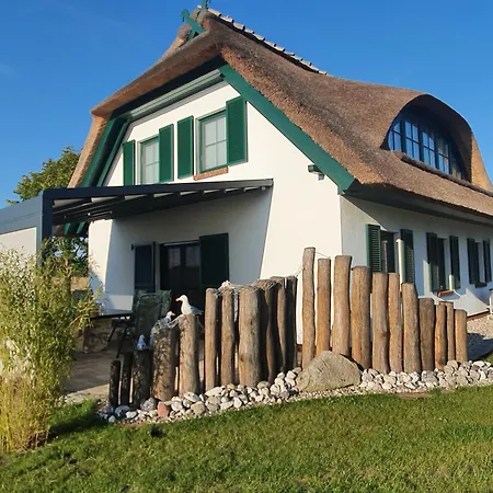 Veronika An Der Ueselitzer Wiek Mellnitz