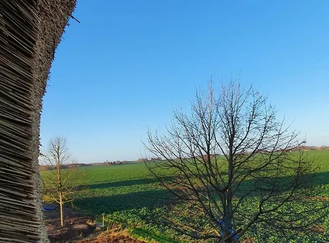 Veronika An Der üselitzer Wiek